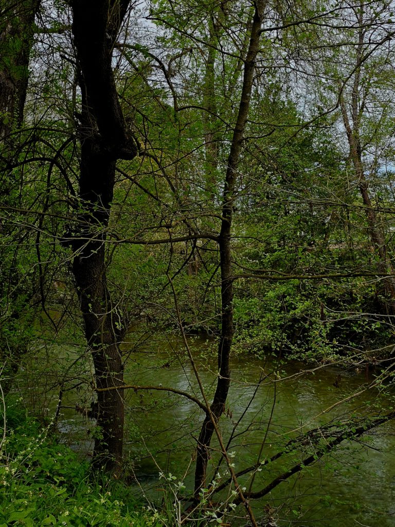 corot04